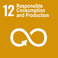 responsible consumption and production