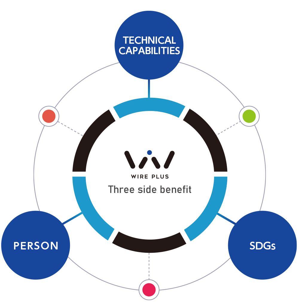 technical capabilities / person / sdgs